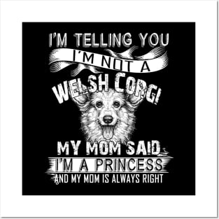 I'm telling you i'm not a welsh corgi Posters and Art